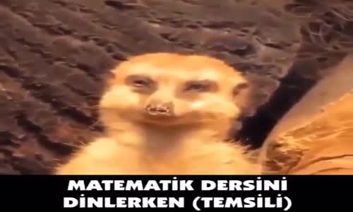 Matematik Dersini Dinlerken Temsili