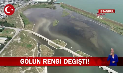 İstanbul Büyükçekmece Gölü'nün Rengi Değişti Balıklar Ölmeye Başladı! İşte Detaylar