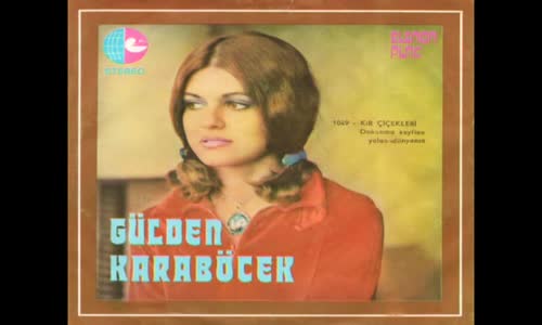 Gülden Karaböcek - Kır Çiçekleri 