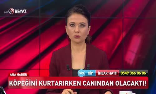 Köpeğini kurtarırken canından olacaktı!