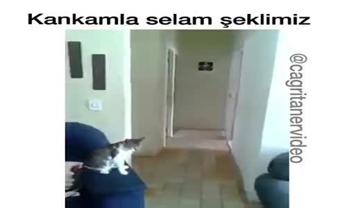 Kankamla Selam Şeklimiz