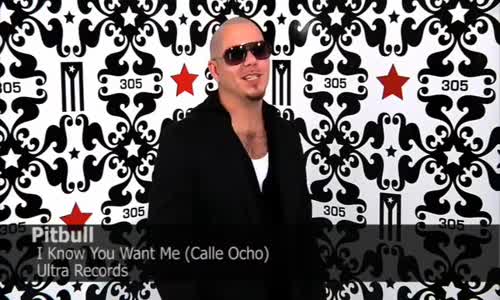 Pitbull - I Know You Want Me (Calle Ocho)