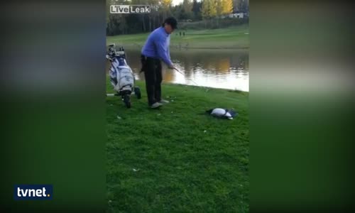 Golf Sahasında Vahşet Bunu Yapan İnsan Olamaz!