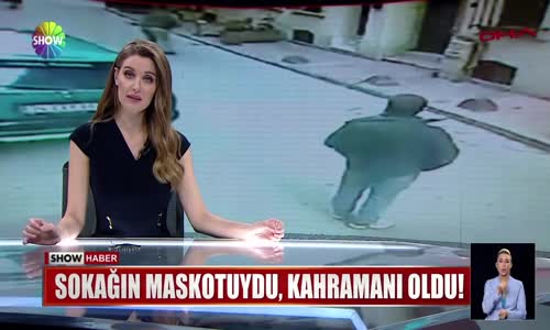 Sokağın maskotuydu, kahramanı oldu! 