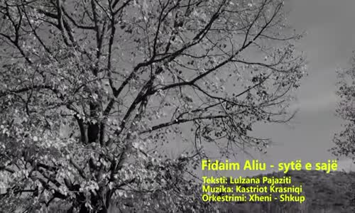 Fidaim Aliu - Syte E Saje