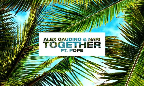 Alex Gaudino & Nari - Together feat. Pope