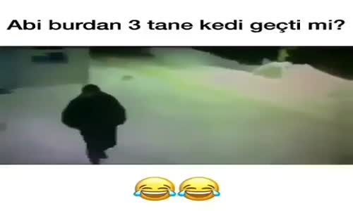 Abi Burdan 3 Tane Köpek Geçti Mİ