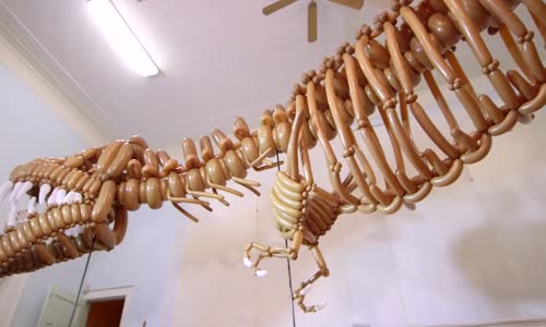 Tamamen Balondan Yapılan Gerçek Boyutlu T-Rex İskeleti