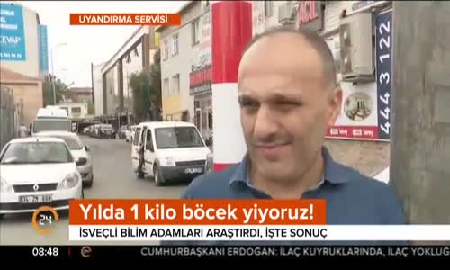 İsveçli Bilim İnsanları Araştırdı - Yılda 1 Kilo Böcek Yiyoruz! 