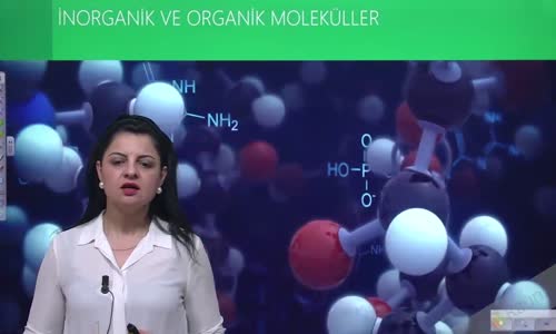 EBA BİYOLOJİ LİSE - CANLILARIN YAPISINDA BULUNAN TEMEL BİLEŞİKLER - İNORGANİK BİLEŞİKLER -  İNORGANİK VE ORGANİK MOLEKÜLLER