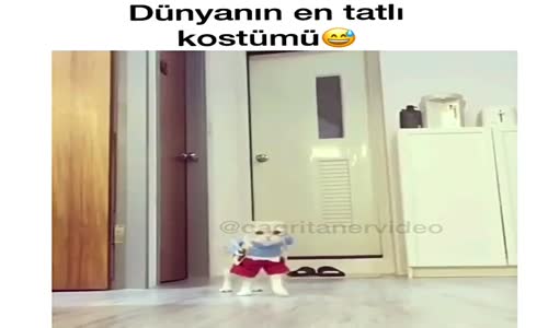 Dünyanın En Tatlı Kostümü