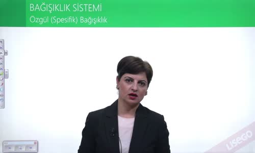 EBA BİYOLOJİ LİSE - DOLAŞIM SİSTEMİ - BAĞIŞIKLIK SİSTEMİ - ÖZGÜL (SPESİFİK) BAĞIŞIKLIK