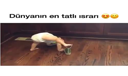 Dünyanın En Tatlı Israrı