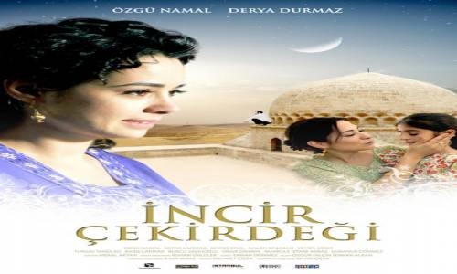 İncir Çekirdeği 2009 Türk Filmi İzle