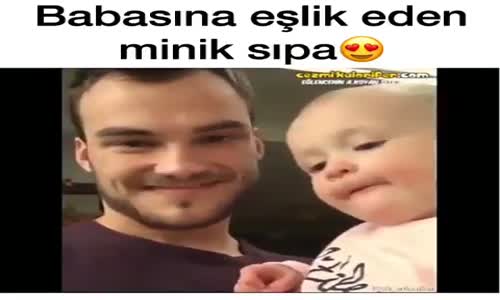 Babasına Eşlik Eden Minik Sıpa