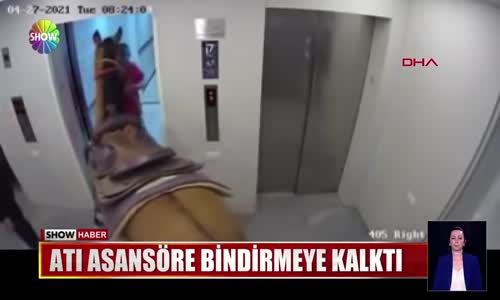 Atı asansöre bindirmeye kalktı