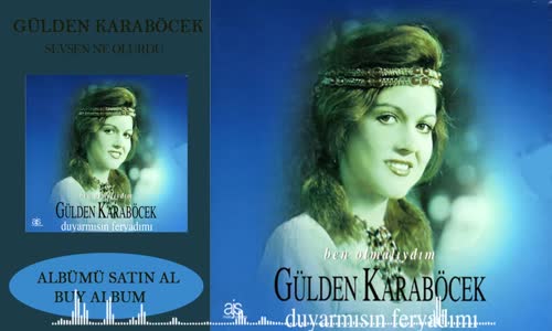 Gülden Karaböcek - Sevsen Ne Olurdu