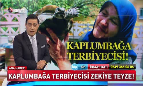 Kaplumbağa terbiyecisi Zekiye Teyze!