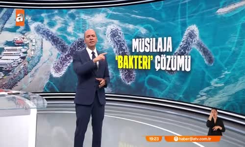 Musilaja ‘Bakteri’ çözümü 