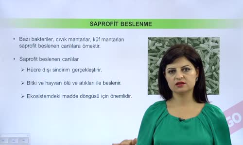 EBA BİYOLOJİ LİSE - EKOLOJİ VE GÜNCEL ÇEVRE SORUNLARI - CANLILARDA BESLENME ŞEKİLLERİ , HETEROTROF BESLENME - SAPROFİT BESLENME