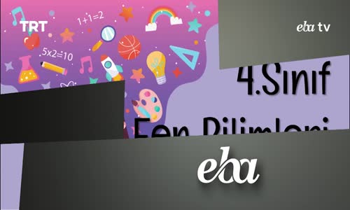 Eba, 4. Sınıf Fen Bilimleri 1.Bölüm İzle