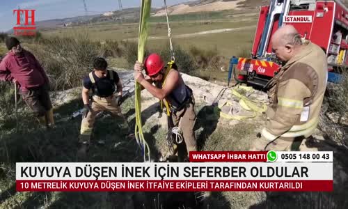 KUYUYA DÜŞEN İNEK İÇİN SEFERBER OLDULAR