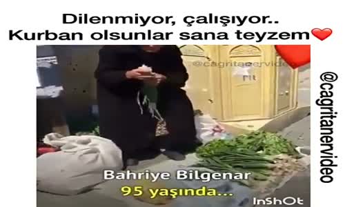 Dilenmiyor Çalışıyor Gençlere Taş Çıkartan Teyze