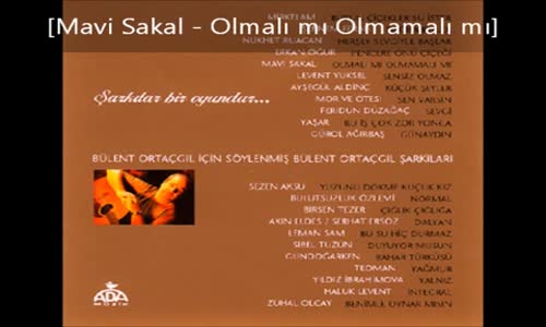 Mavi Sakal Olmalı Mı Olmamalı Mı