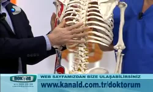 Bel Kayması Neden Olur