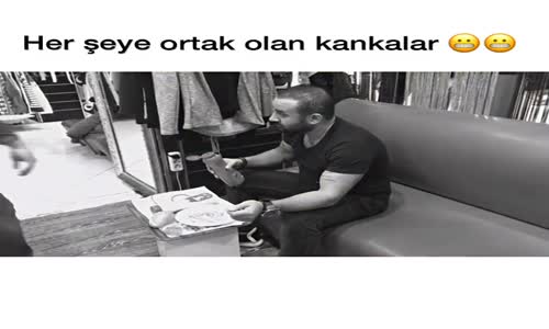 Her Şeye Ortak Olan Kankalar