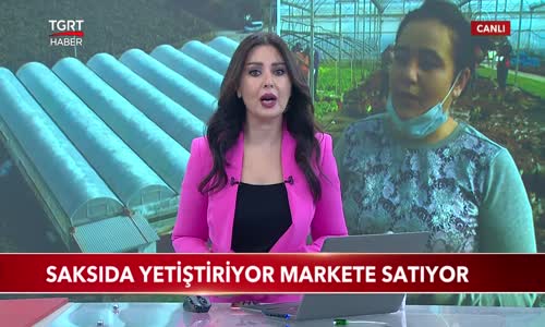 Saksıda Yetiştiriyor Markete Satıyor