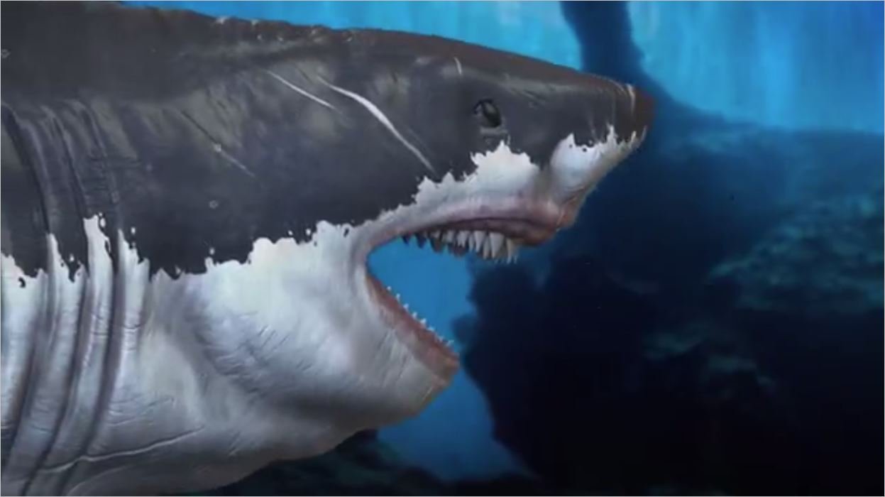 18 Metrelik Köpek Balığı Megalodon