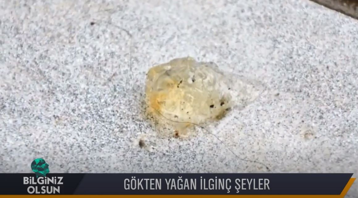 Gökten Yağan En İlginç Şeyler