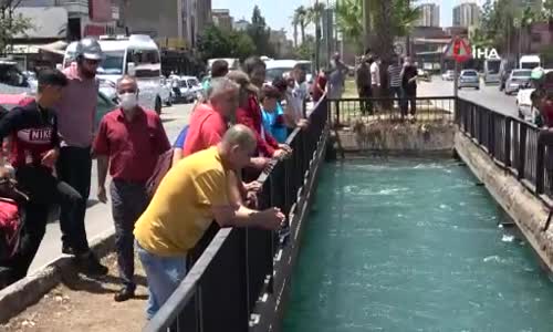 Serinlemek için girdiği sulama kanalında kayboldu 