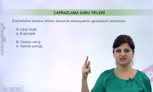 EBA BİYOLOJİ LİSE - KALITIMIN GENEL İLKELERİ - DİHİBRİT ÇAPRAZLAMA - ÇAPRAZLAMALARDA GENOTİP VE FENOTİP ÇEŞİT SAYISI HESAPLAMALARI