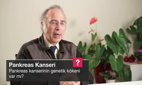 Pankreas Kanserinin Genetik Kökeni Var Mı