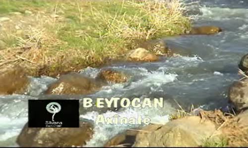 Beytocan - Axinate Nalinamin 