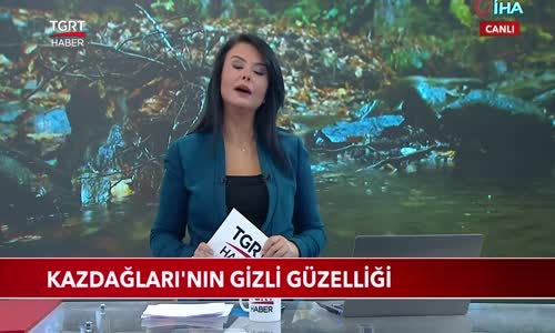 Kazdağları'nın Gizli Güzelliği 