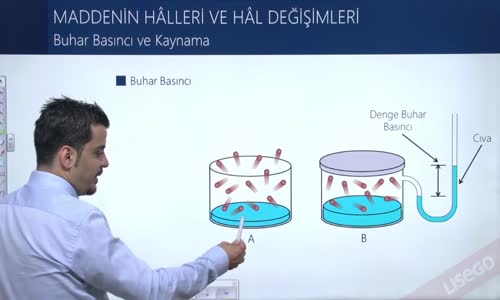 EBA KİMYA LİSE - MADDENİN HALLERİ - KATILAR VE SIVILAR - BUHAR BASINCI VE KAYNAMA