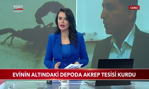 Evinin Altındaki Depoda Akrep Tesisi Kurdu