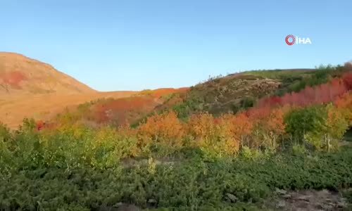 Nemrut Krater Gölünde Sonbahar Güzelliği