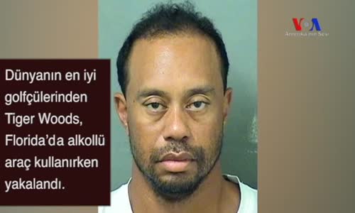 Tiger Woods, Alkollü Araç kullanırken Yakalandı.