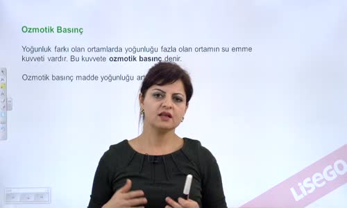 EBA BİYOLOJİ LİSE - CANLILARIN TEMEL BİRİMİ HÜCRE - HÜCRE ZARINDA MADDE ALIŞVERİŞİ  PLAZMOLİZ, DEPLAZMOLİZ, TURGOR, HEMOLİZ  - TURGOR BASINCI, OZMOTİK BASINÇ, EMME KUVVETİ