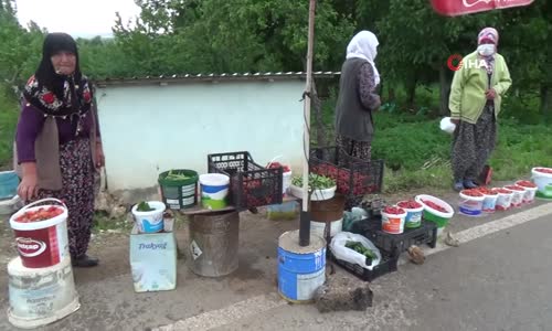 Ünlü Demirciören Çileği Tezgâhlarda