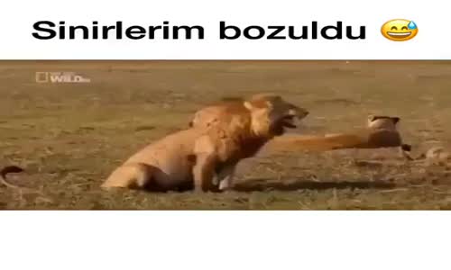 Sİnirlerim Bozuldu