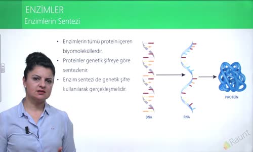 EBA BİYOLOJİ LİSE - CANLILARIN YAPISINDA BULUNAN TEMEL BİLEŞİKLER - ENZİMLER - ENZİMLERİN SENTEZİ