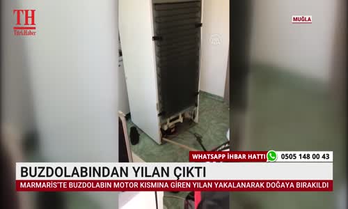 BUZDOLABINDAN YILAN ÇIKTI