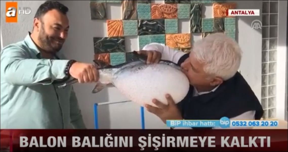 Balon Balığını Yanlış Anlayan Adam