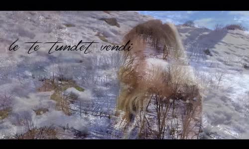  Blerina Braka & Liri Rasha - Le Te Tundet Vendi 