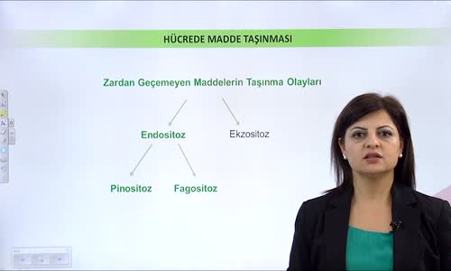 EBA BİYOLOJİ LİSE - CANLILARIN TEMEL BİRİMİ HÜCRE - HÜCRE ZARINDA MADDE ALIŞVERİŞİ  AKTİF TAŞIMA, ENDOSİTOZ VE EKZOSİTOZ - ENDOSİTOZ